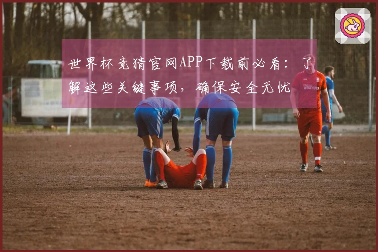 世界杯竞猜官网APP下载前必看：了解这些关键事项，确保安全无忧