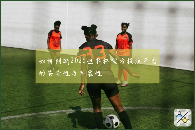 如何判断2026世界杯官方投注平台的安全性与可靠性