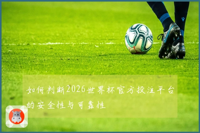 如何判断2026世界杯官方投注平台的安全性与可靠性