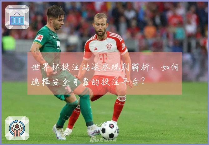 世界杯投注站返水规则解析，如何选择安全可靠的投注平台？