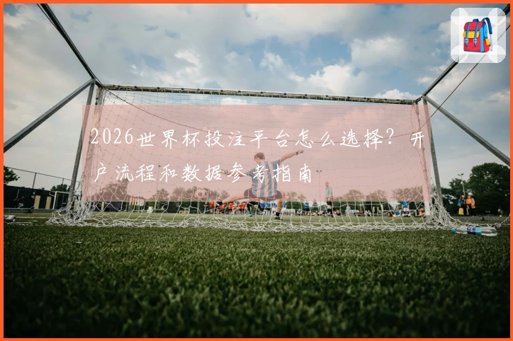 2026世界杯投注平台怎么选择？开户流程和数据参考指南
